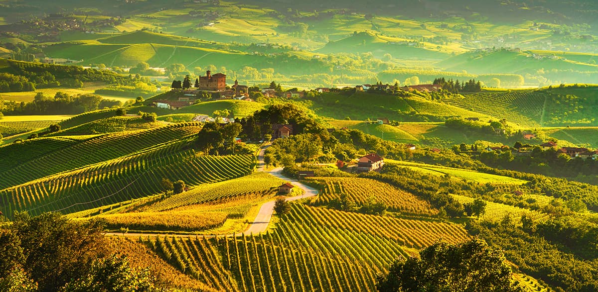 Forest Wallpaper for Walls, Landscape With Rows of Green Fields pattern detail