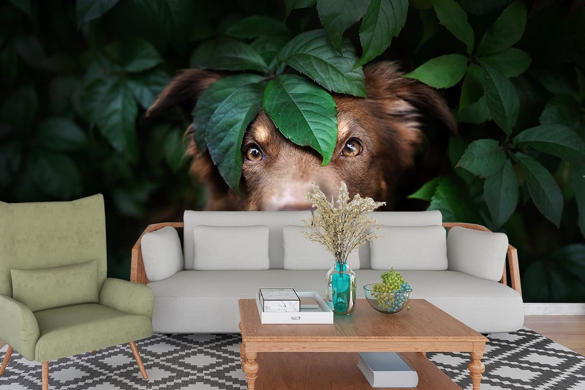 Cute Dog with Leaves Artistic Wallpaper shown in a room