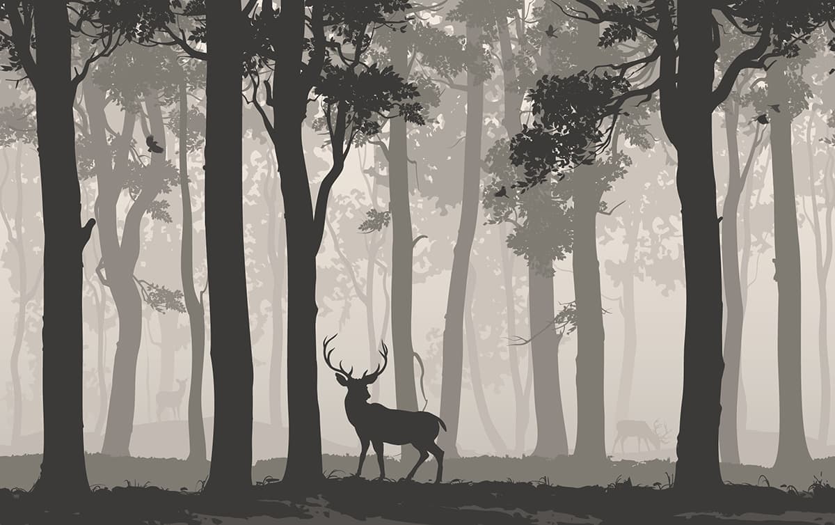 Immersive Foggy Forest Landscape Wallpaper pattern detail