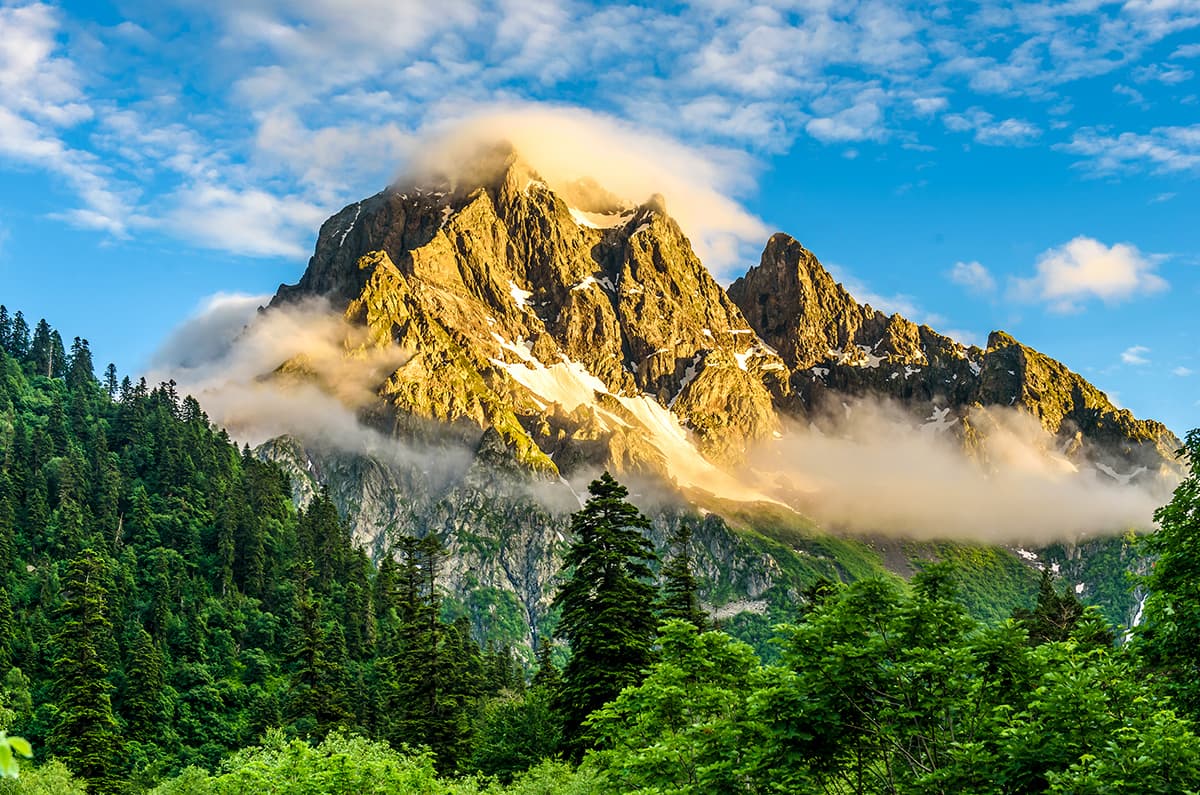 Sunlight Falling on Mountain, Forest Wallpaper for Walls pattern detail