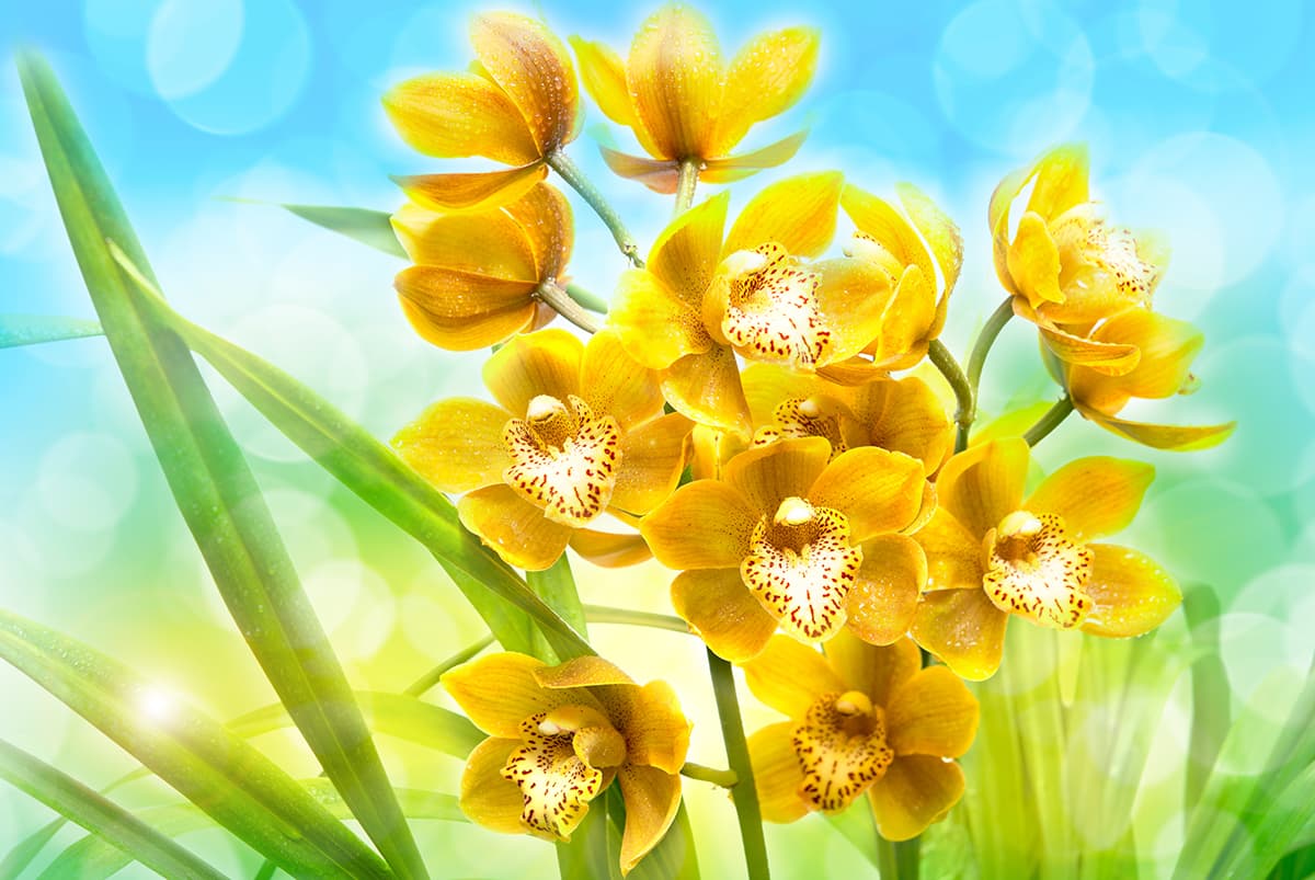Yellow Flowers with Green Leaves Botanical Wall Mural Wallpaper pattern detail