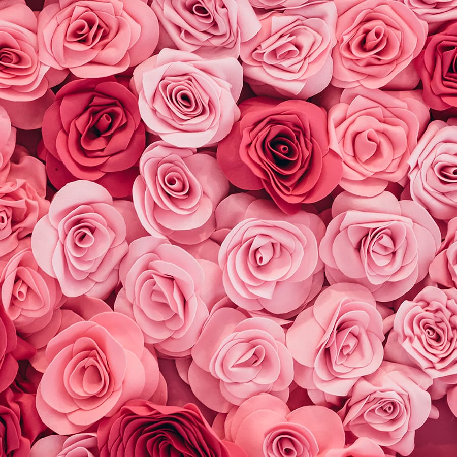Pattern of pink and red roses wallpaper for wall pattern detail