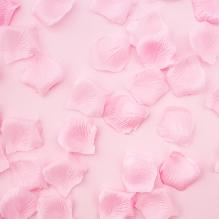 Pink Rose Petals Wallpaper for Walls pattern detail