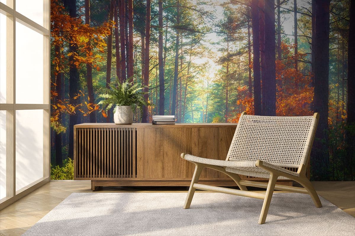 Serene Forest Pathway with Trees & Green Grass Wallpaper shown in a room