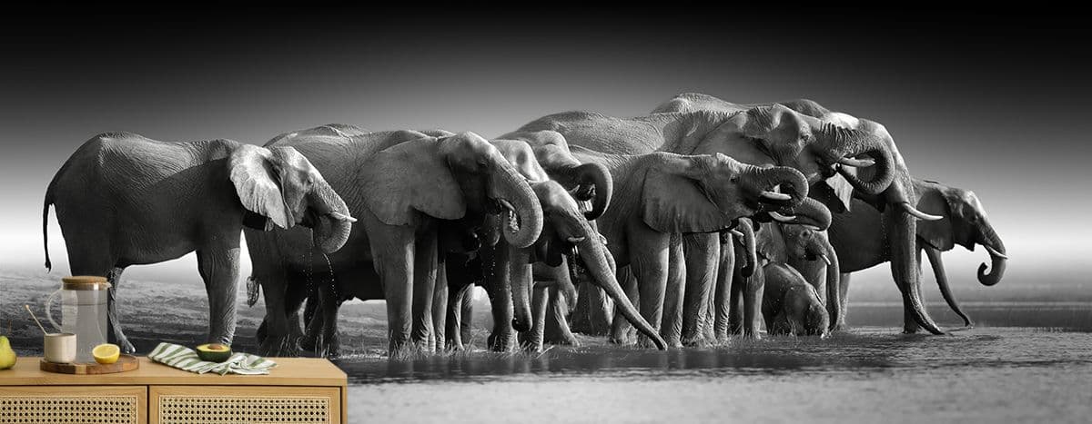 Elephant Wallpaper for Walls, Elephants standing in water shown in a room
