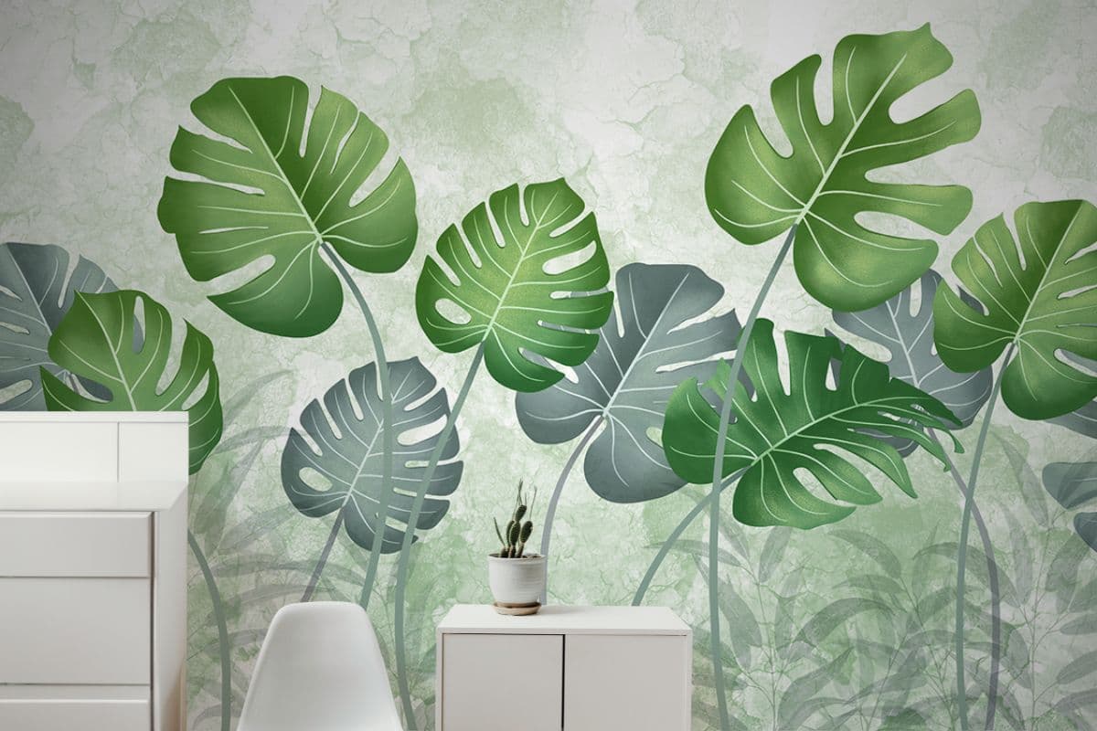 Swiss Cheese Plant Wallpaper for Home shown in a room