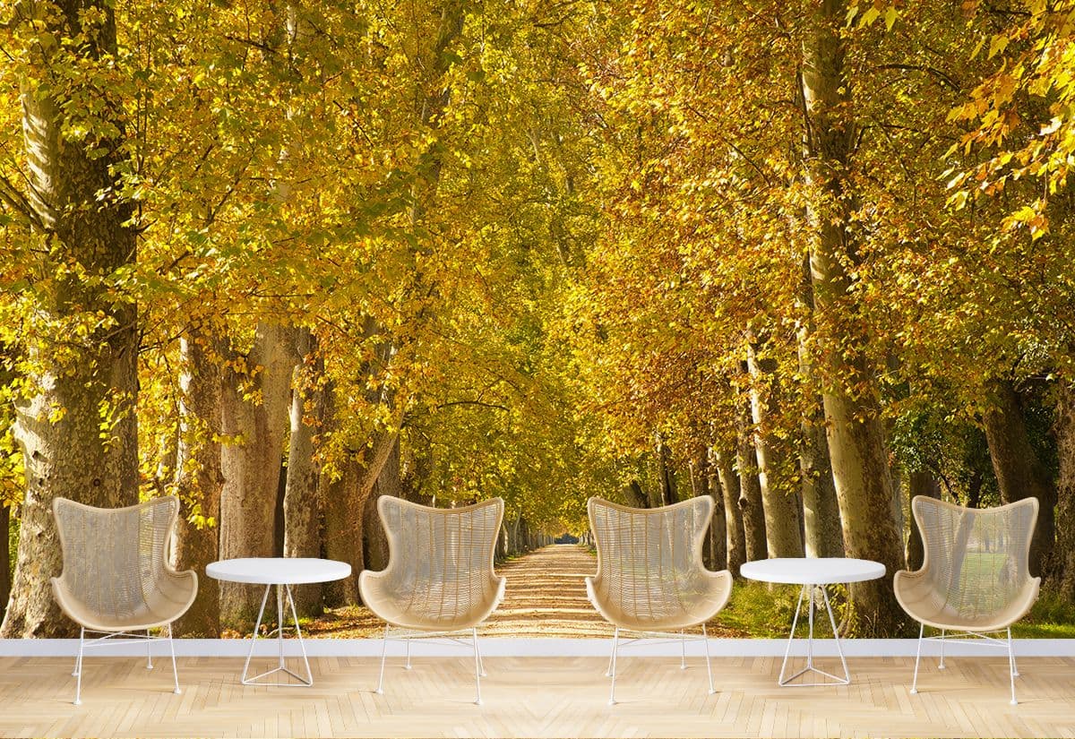 Trees in a Symmetrical Way Wallpaper for Walls shown in a room