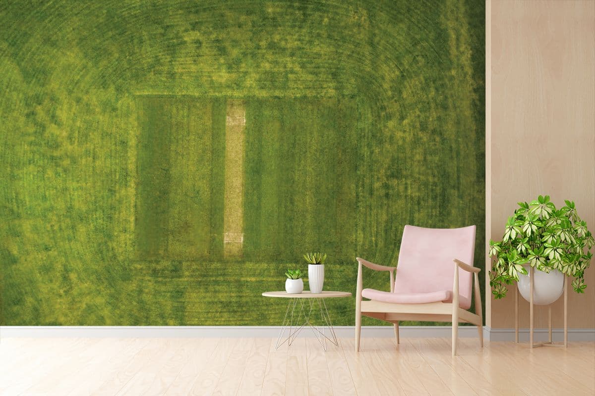 Cricket Ground Top View Stadium Design Wallpaper shown in a room