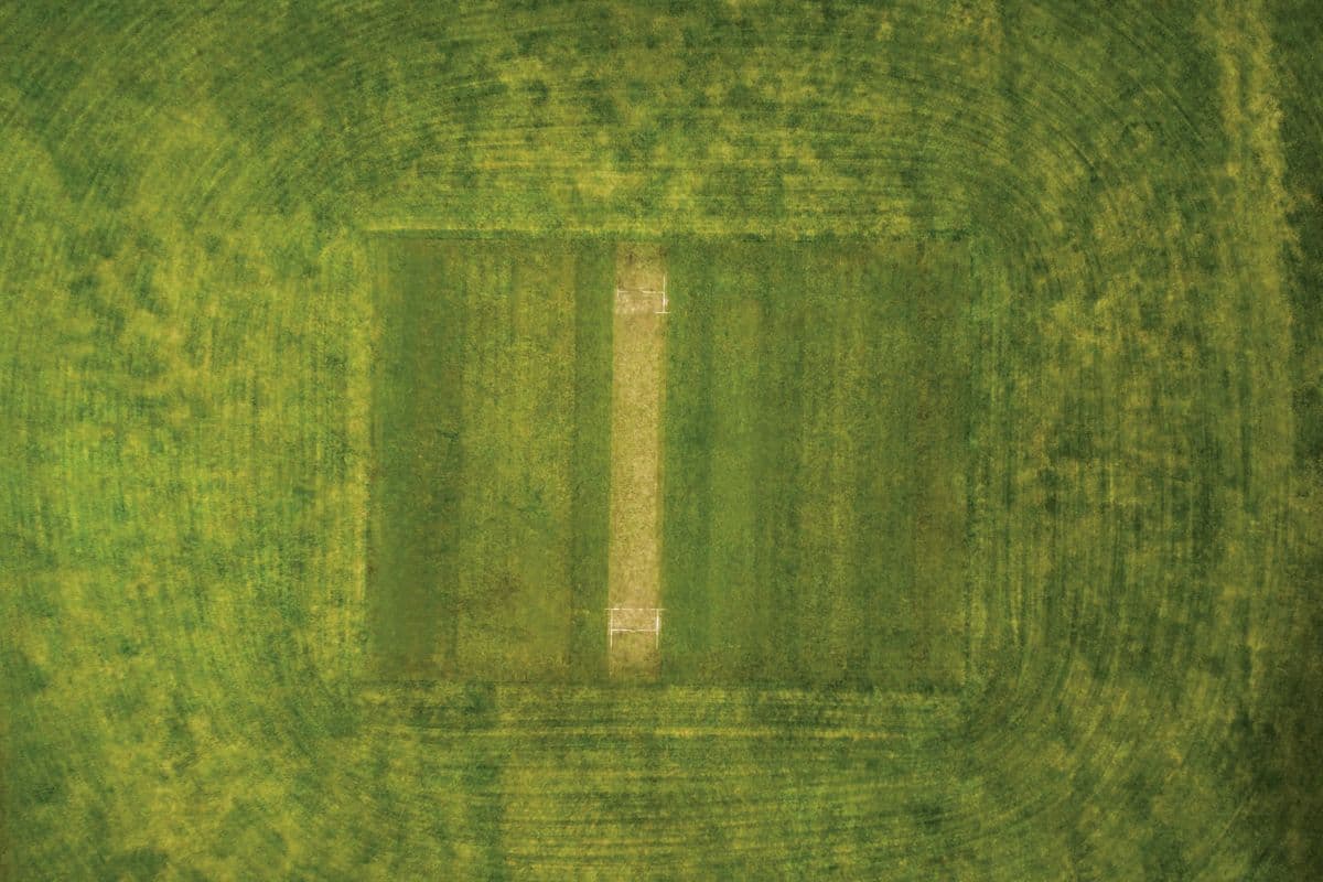 Cricket Ground Top View Stadium Design Wallpaper pattern detail
