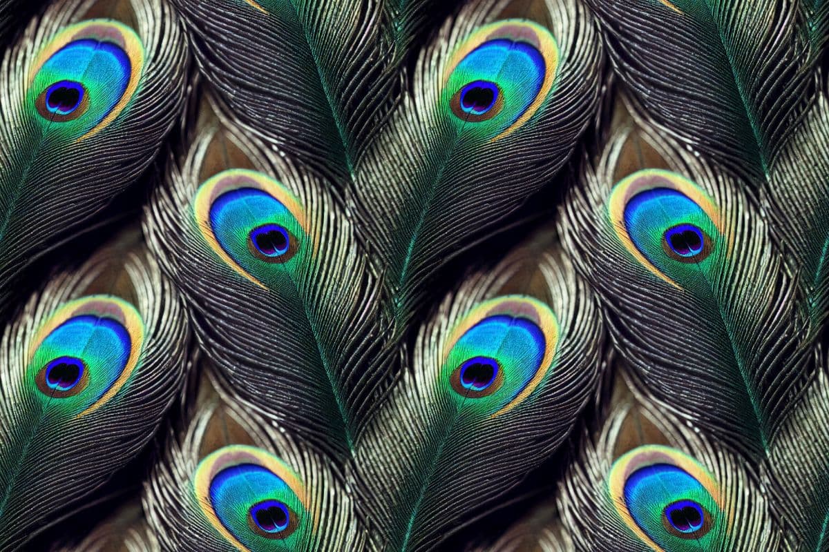 Muted Feather Design for Soothing Living Spaces Wallpaper pattern detail