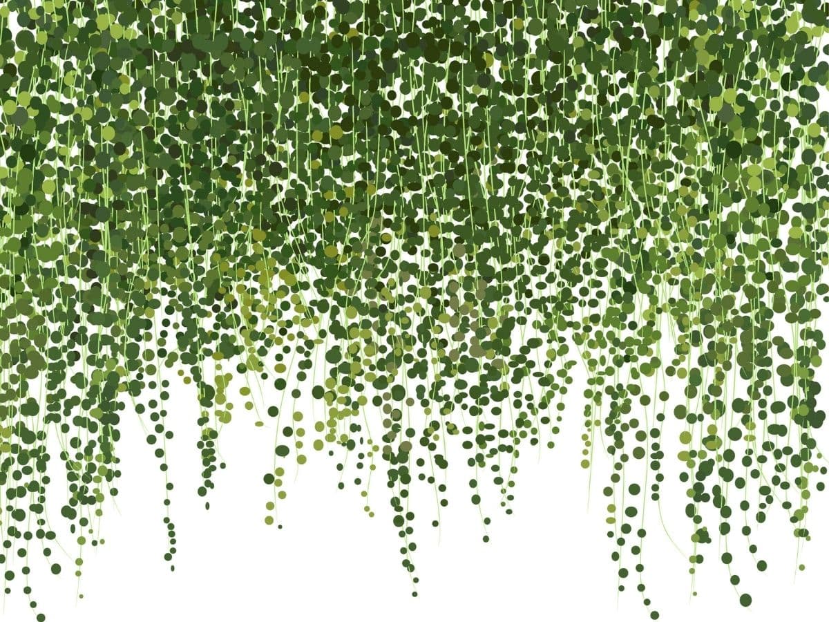 Green Ivy Plant Wallpaper for Walls pattern detail