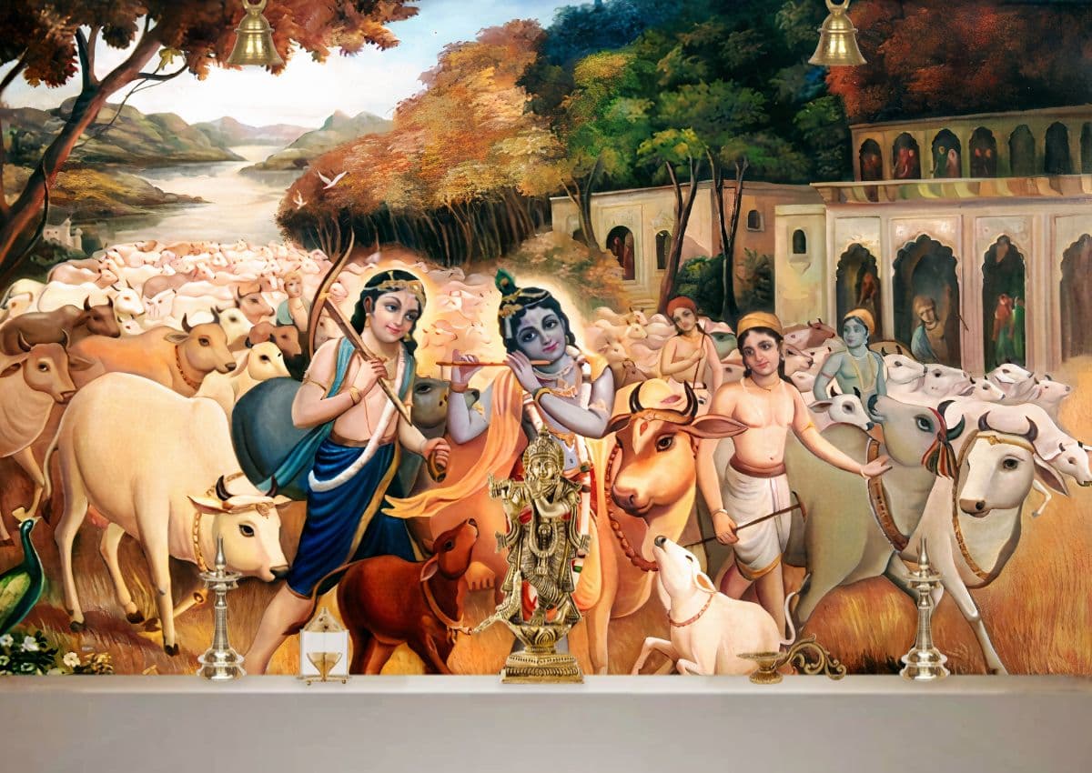 Krishna, Cows and Gwala's Wallpaper for Walls shown in a room