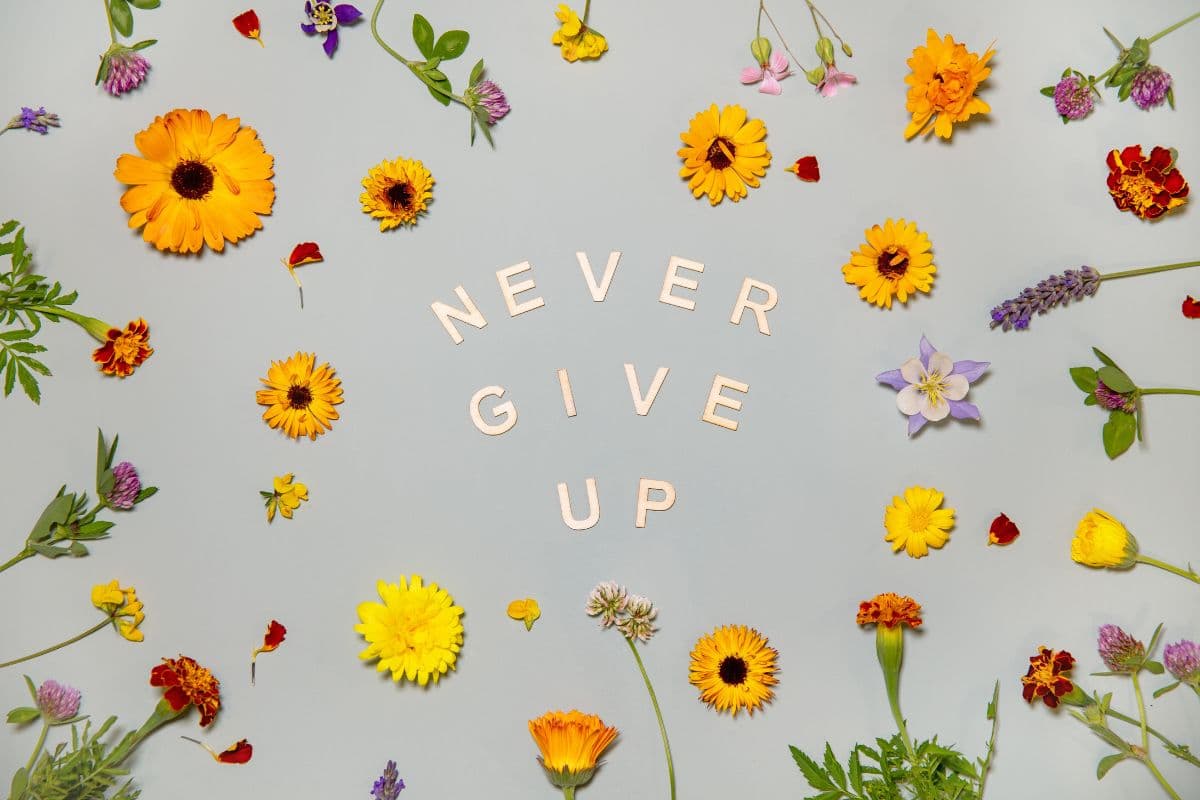 Never Give Up, Motivational Wallpaper for Wall pattern detail