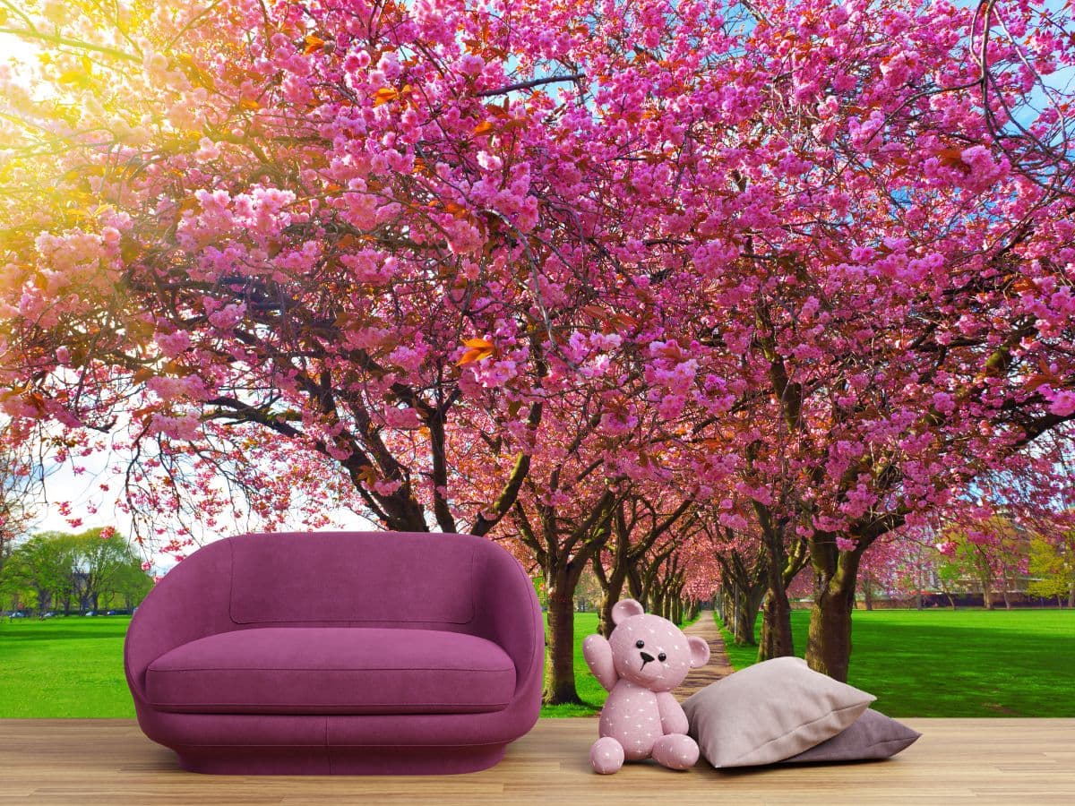 Blossoming Plum Trees Wallpaper for Wall shown in a room