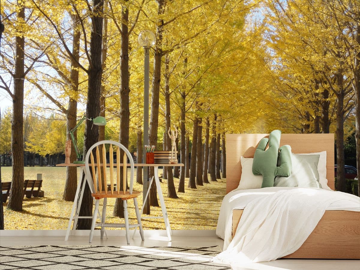 Ginkgo Trees in Japan Wallpaper for Wall shown in a room