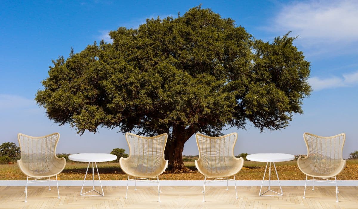 Green Argan Tree Wallpaper for Wall shown in a room