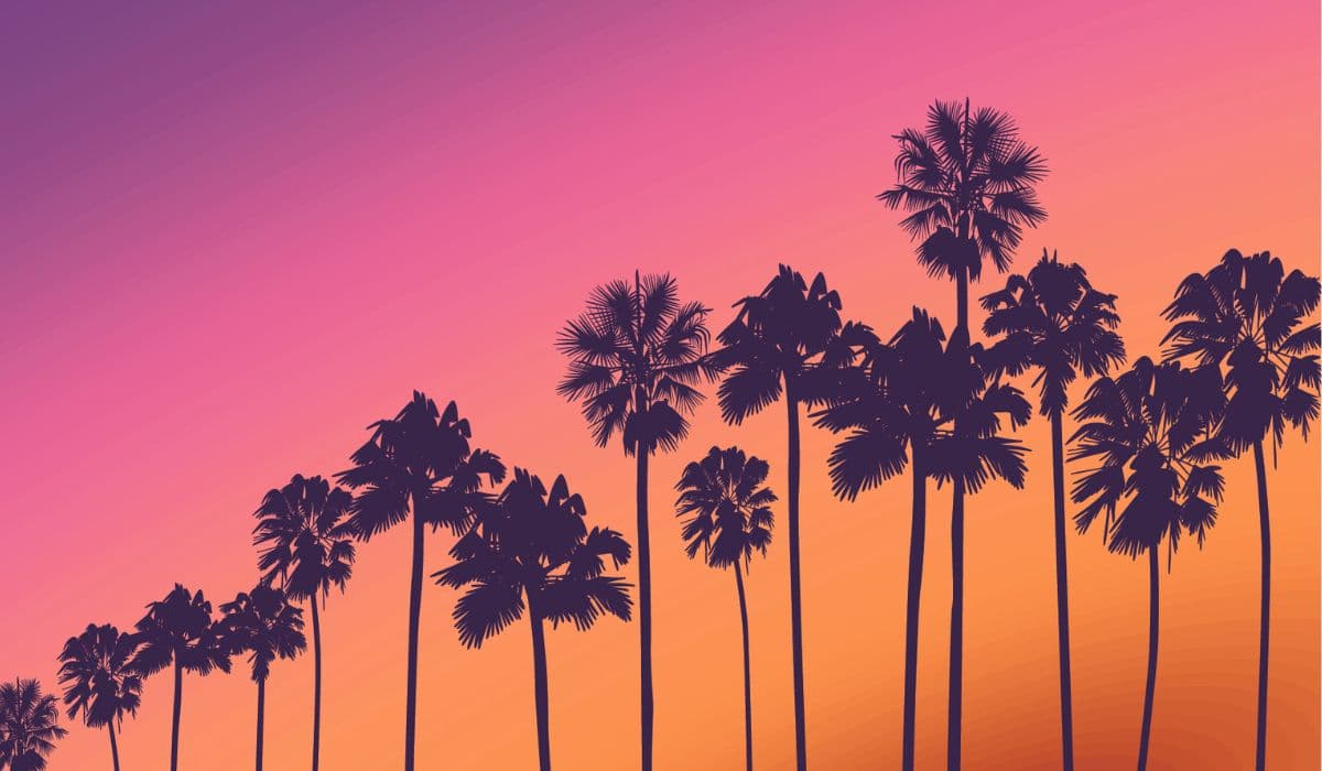 Palm Tree Sunset Time Wallpaper for Wall pattern detail