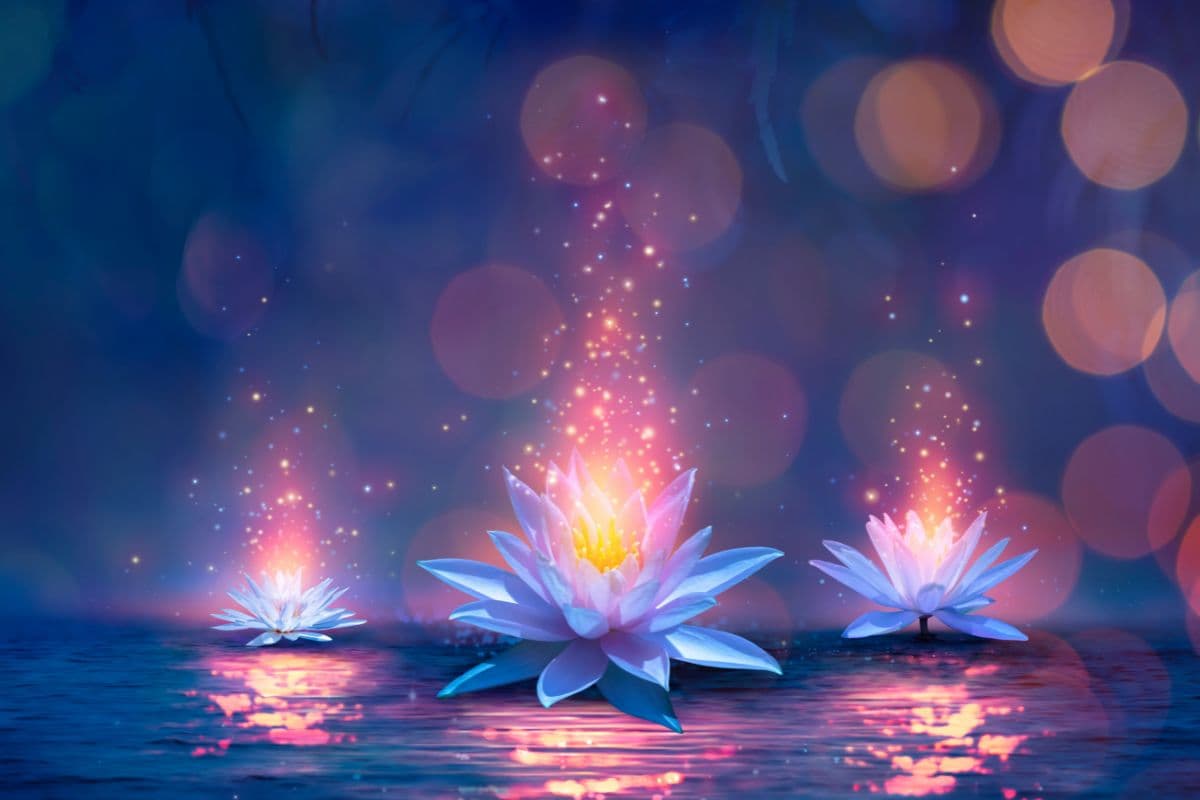Magic Lotus Flower On Water Wallpaper Mural pattern detail