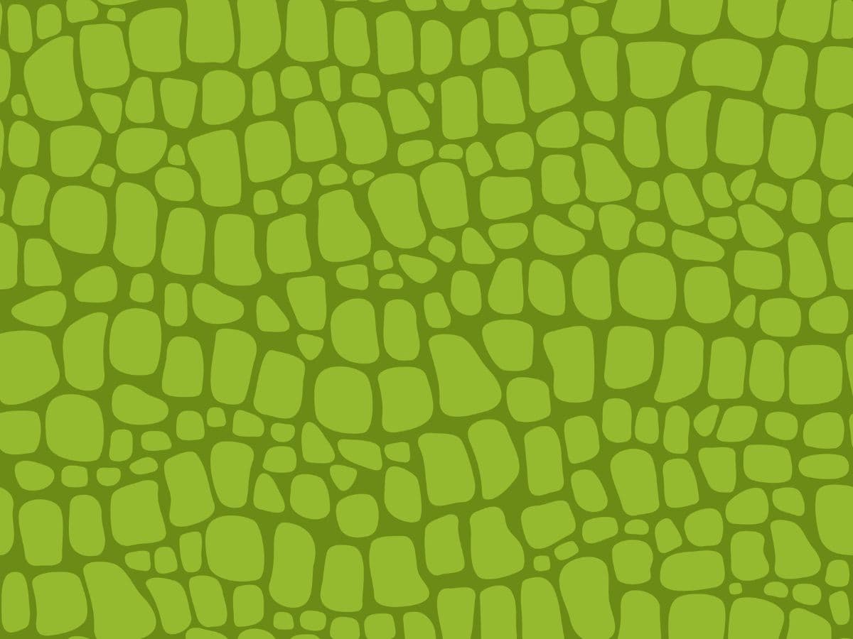 Alligator Skin Texture Wallpaper for Wall pattern detail