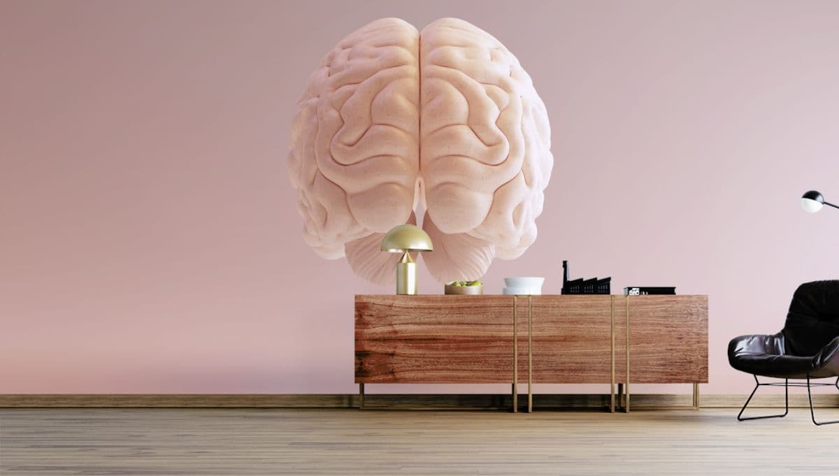 3D Human Brain Anatomical Model, Office Wallpaper shown in a room
