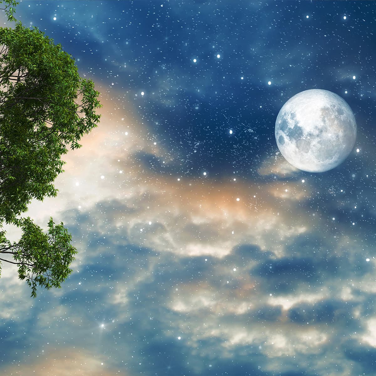 Moon Meeting The Skies Wallpaper Mural pattern detail