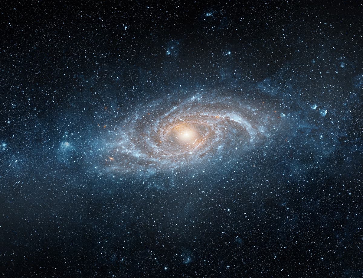 Milky Way and Me Wallpaper Mural pattern detail