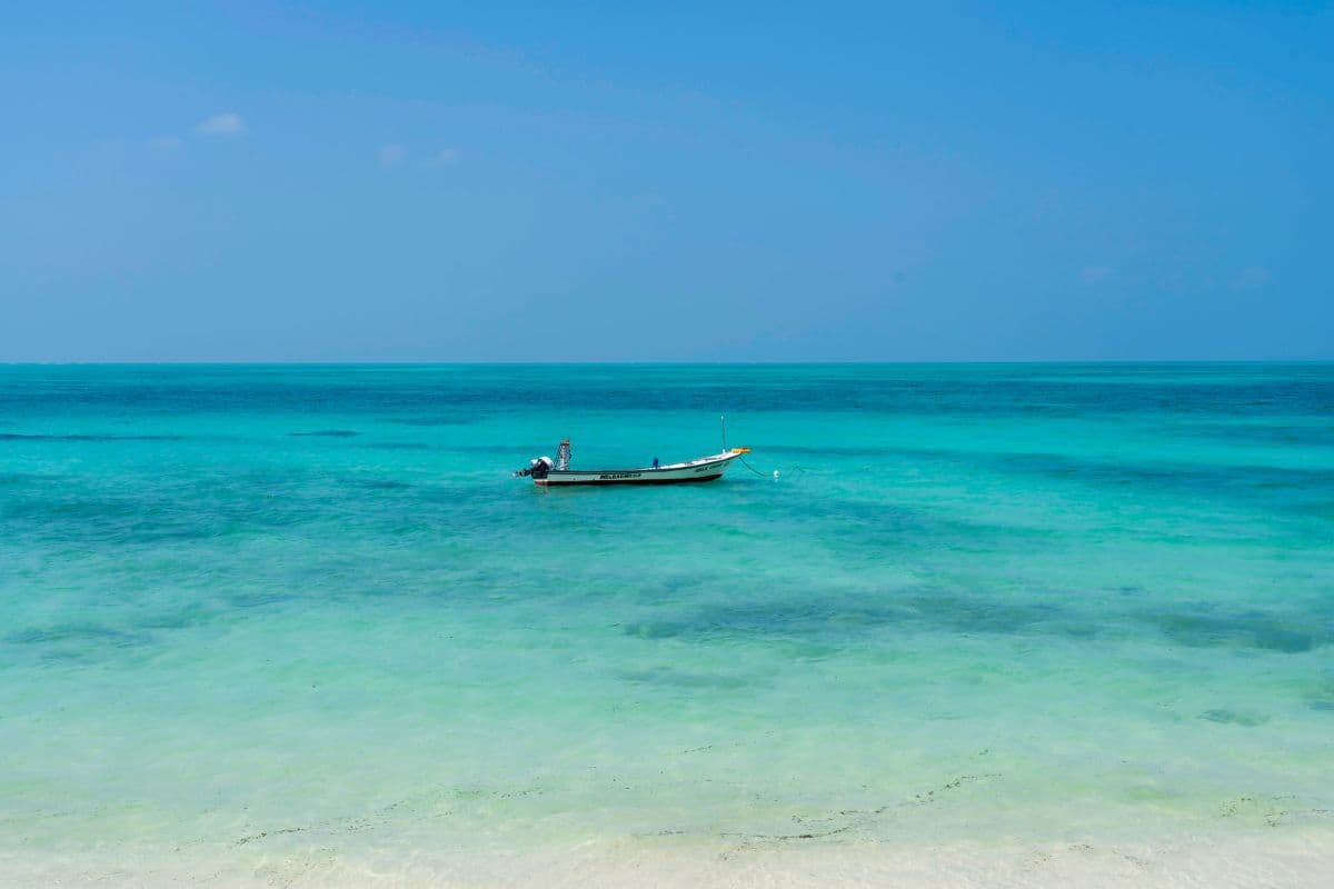 Beautiful Beach in Lakshadweep Wallpaper Mural pattern detail