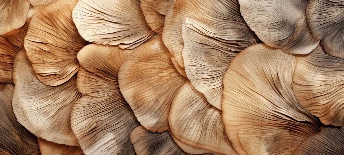 Earthy Enigma Mushroom Texture Wallpaper pattern detail