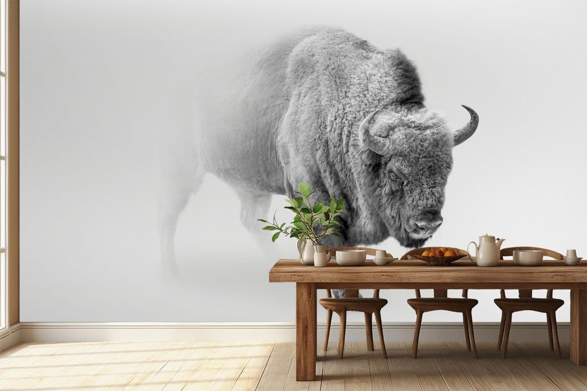 Bison Majesty in Mist Wallpaper Mural shown in a room