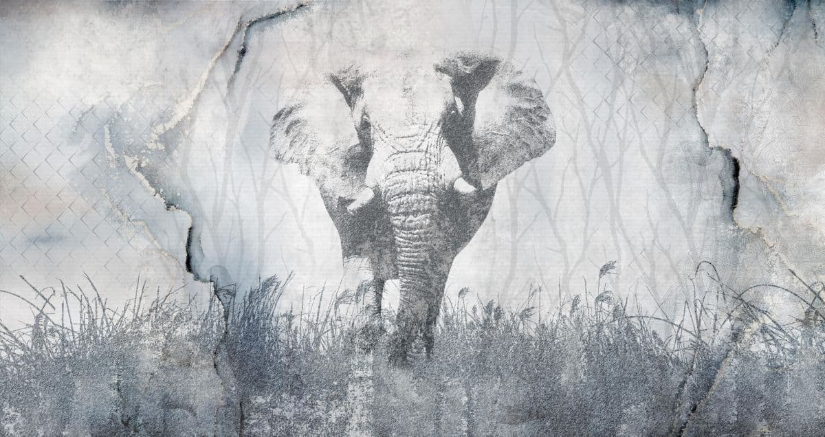 Elephant Elegance Wallpaper Mural pattern detail