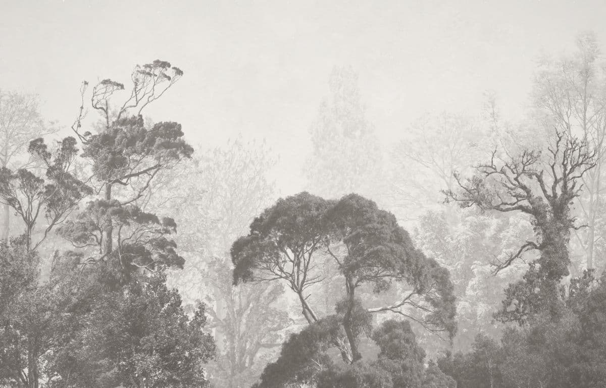 Mystic Timberland Shades Wallpaper for Wall pattern detail