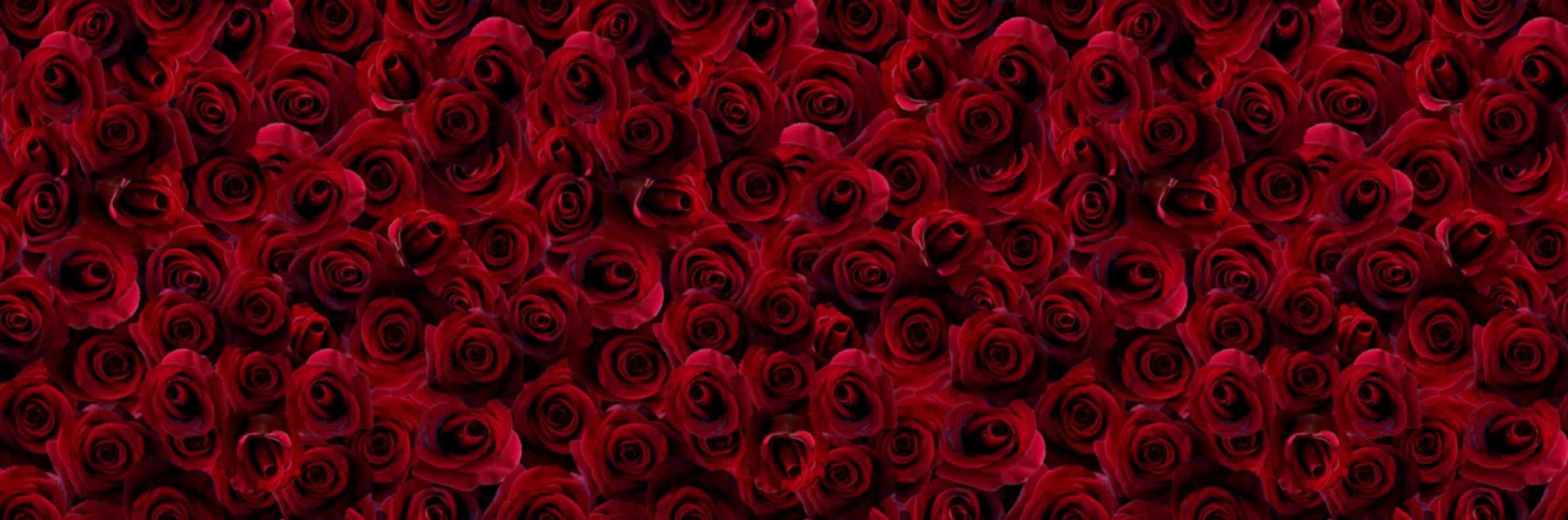 Wallpaper Mural of a Secret Garden of Roses pattern detail