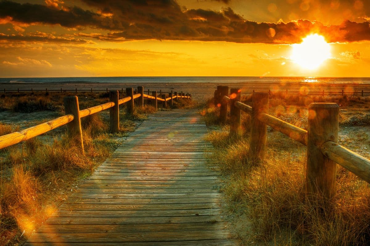 Aesthetic Tropical Sunset Beach Door Wallpaper pattern detail