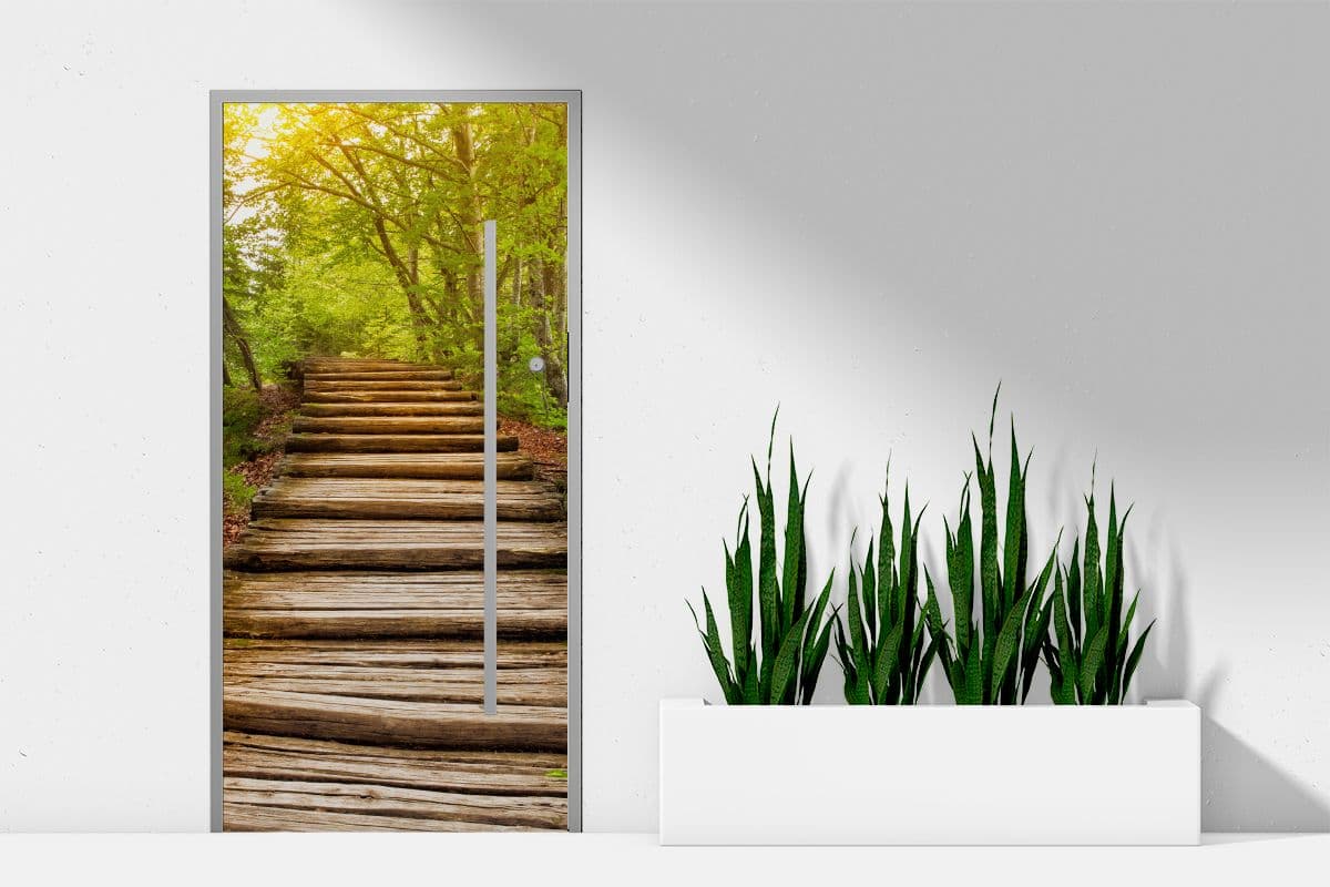 Deep Forest Pathway Sunshine Door Mural Wallpaper shown in a room