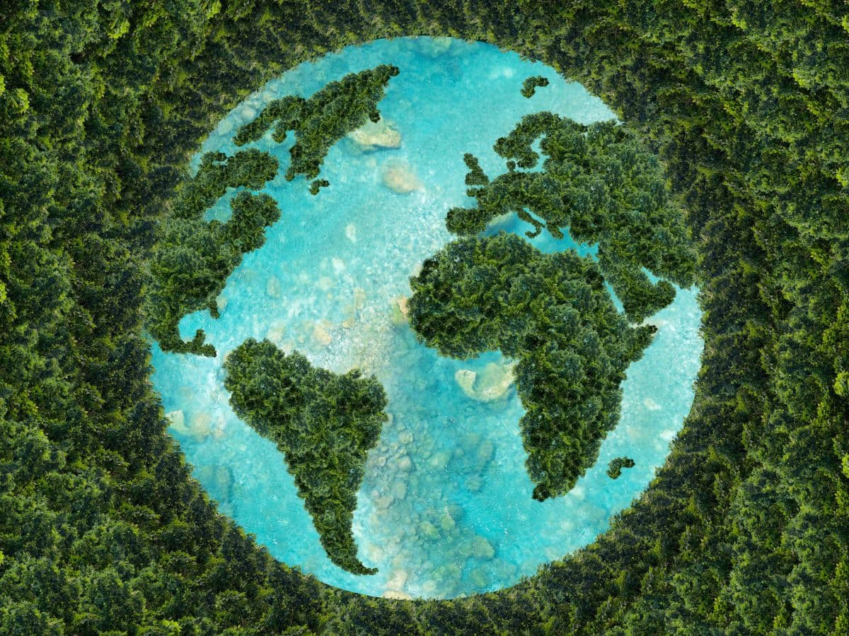 Mother Earth Wallpaper Mural for Door pattern detail