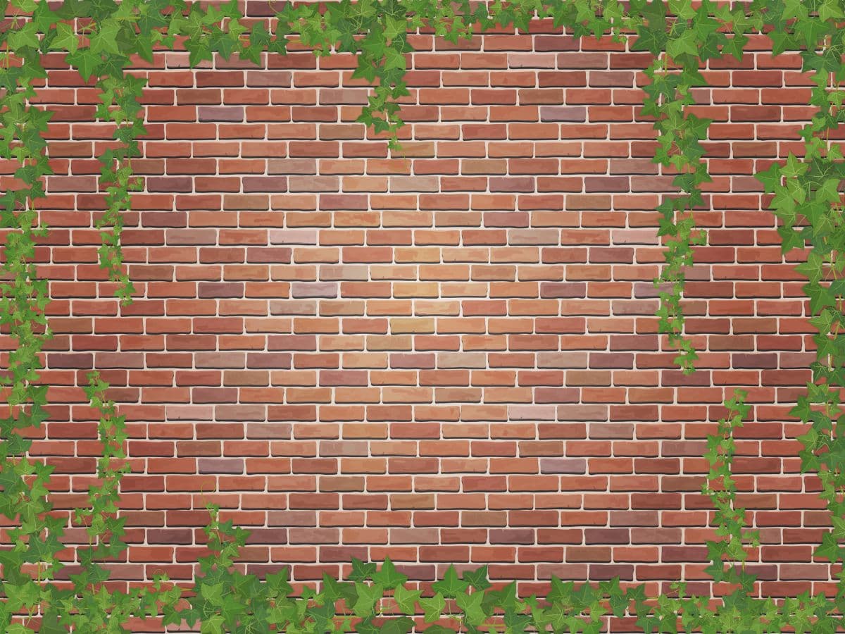 Ivy Winds On The Red Brick Wallpaper Mural pattern detail