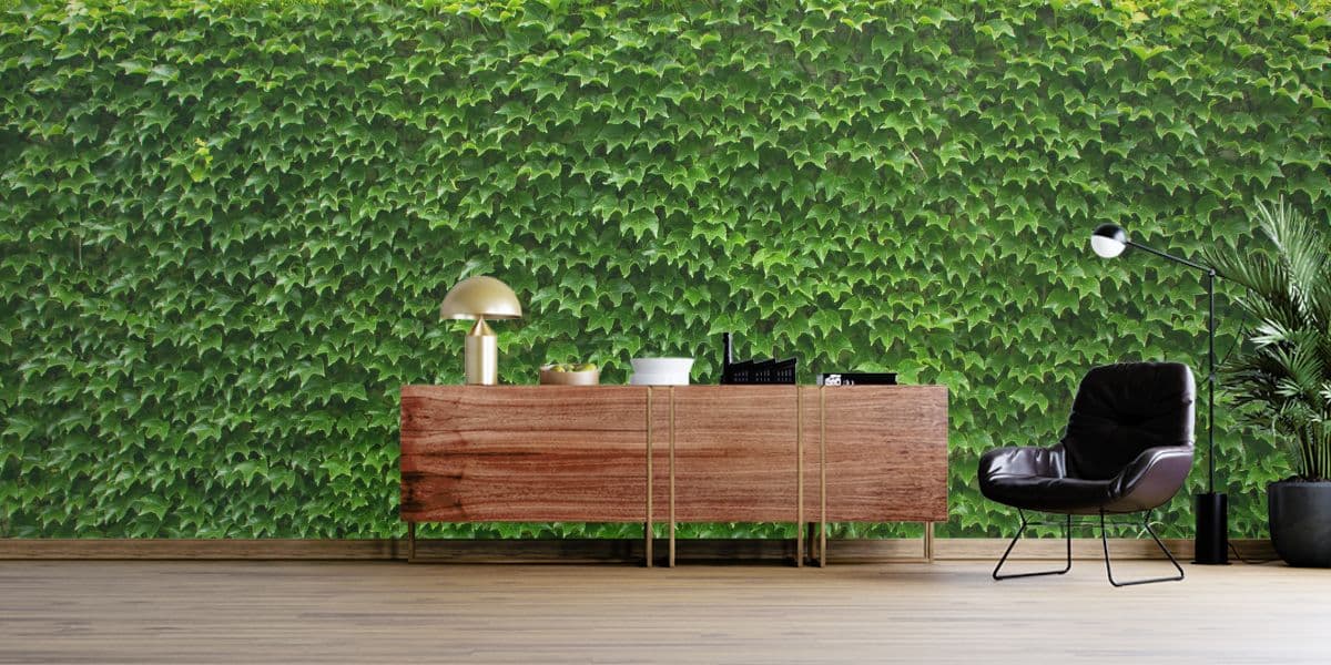 Lush Ivy Wall Mural Wallpaper shown in a room