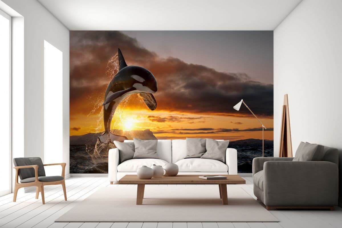 Dolphin Playing in the Sun Wallpaper Mural shown in a room