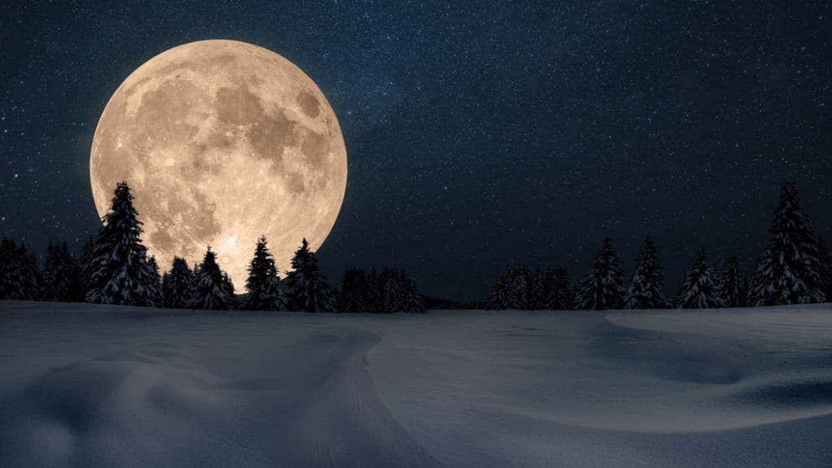 Lunar Tranquility, Full Moon Wallpaper Mural pattern detail