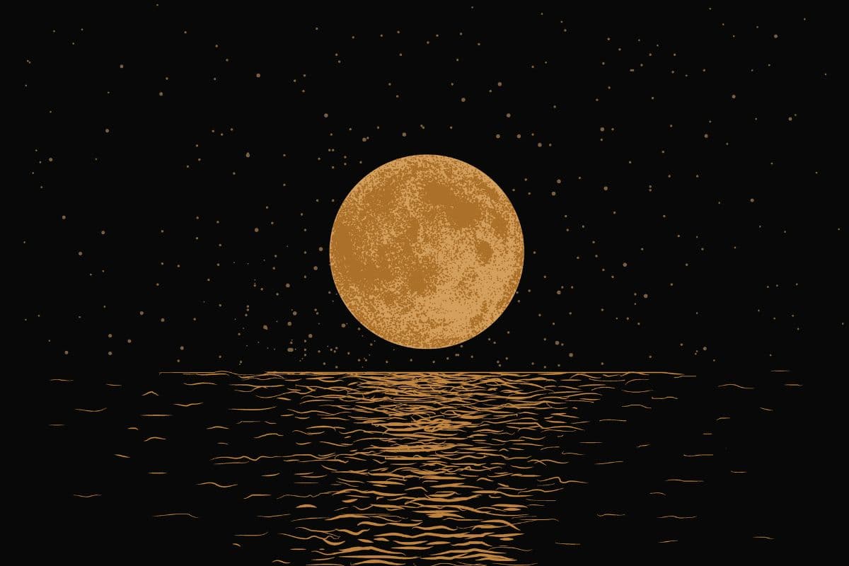 Majestic Moon Reflection Wallpaper Mural pattern detail