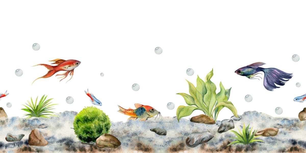Watercolor Marine Life Painting Mural Wallpaper pattern detail
