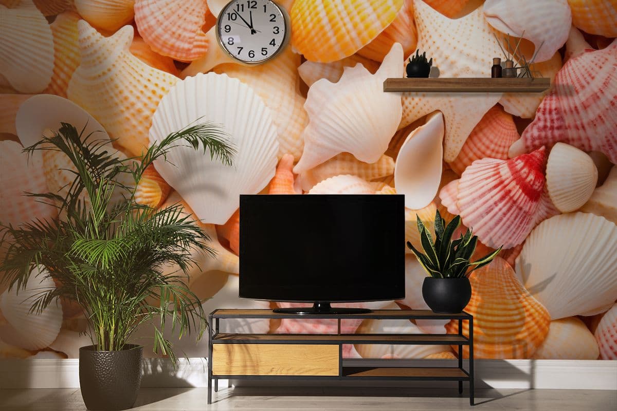 Beautiful Colorful Seashell Wallpaper Mural shown in a room