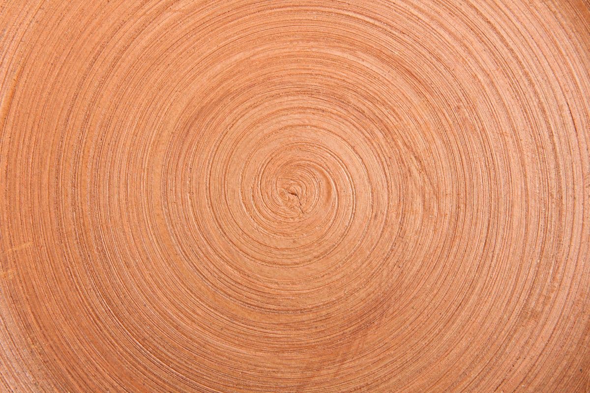 Clay Pot Texture Wallpaper Mural pattern detail