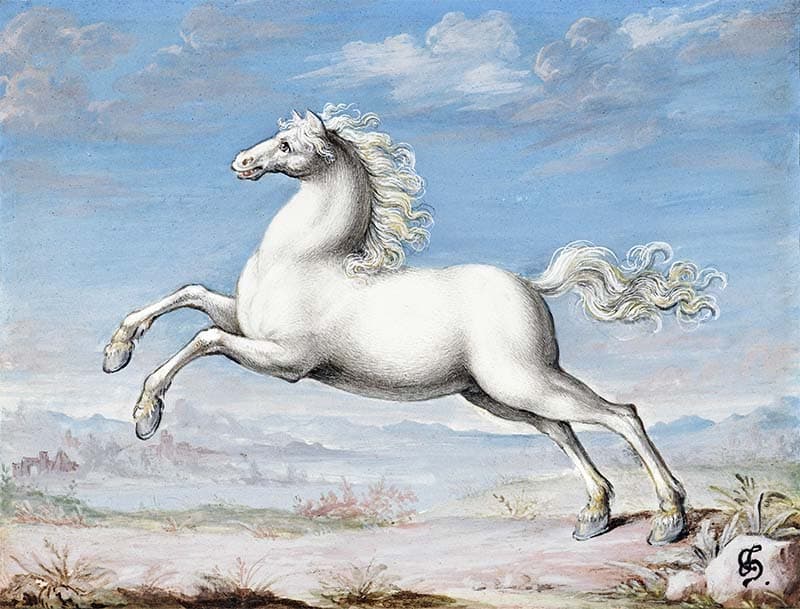 Classic White Horse Painting Wallpaper pattern detail