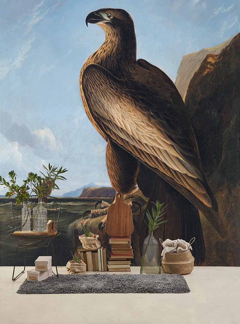 Mighty Washington Sea Eagle Painting Wallpaper Mural shown in a room