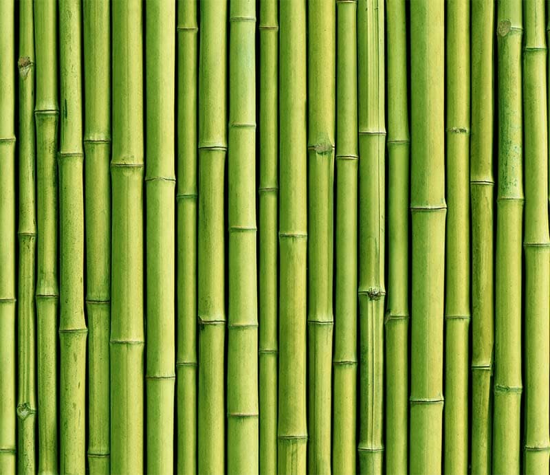 Enchanted Green Bamboo Wall Wallpaper pattern detail