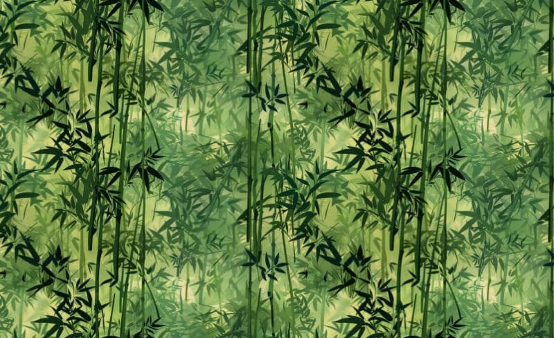 Peaceful Bamboo Trees and Leaves Wallpaper Mural pattern detail