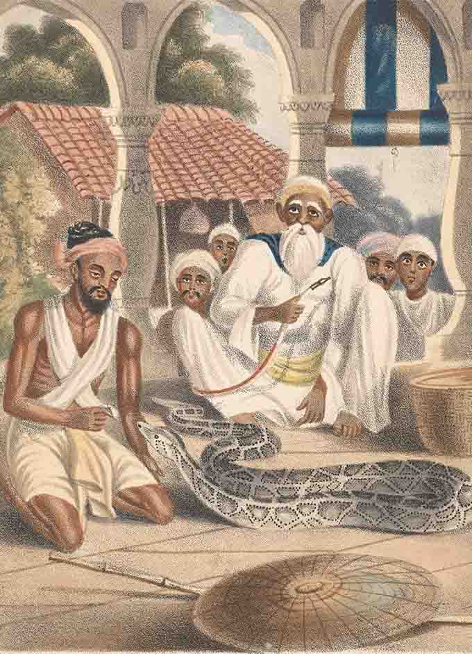 Sanpera, The Snake Catcher Painting Wallpaper pattern detail