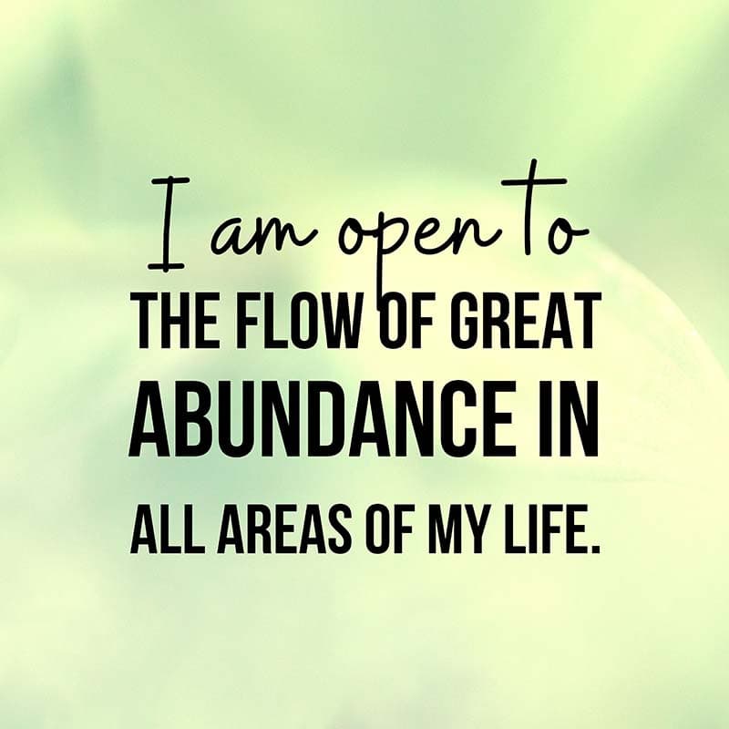 I Am Open to Abundance Wallpaper Mural pattern detail
