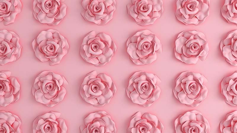 3D Rose Wall Stucco Wallpaper Mural pattern detail